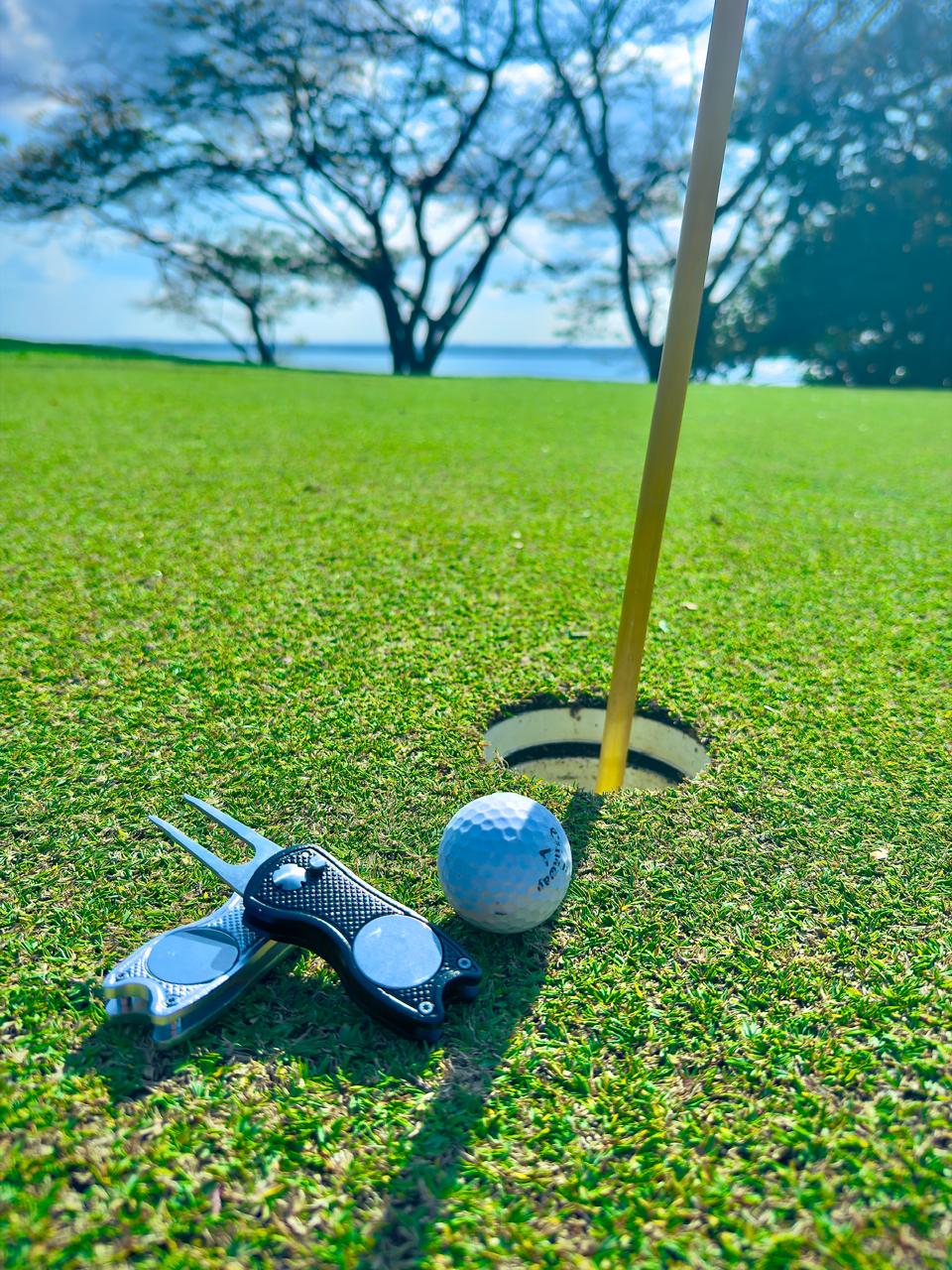BallMark Divot Tool